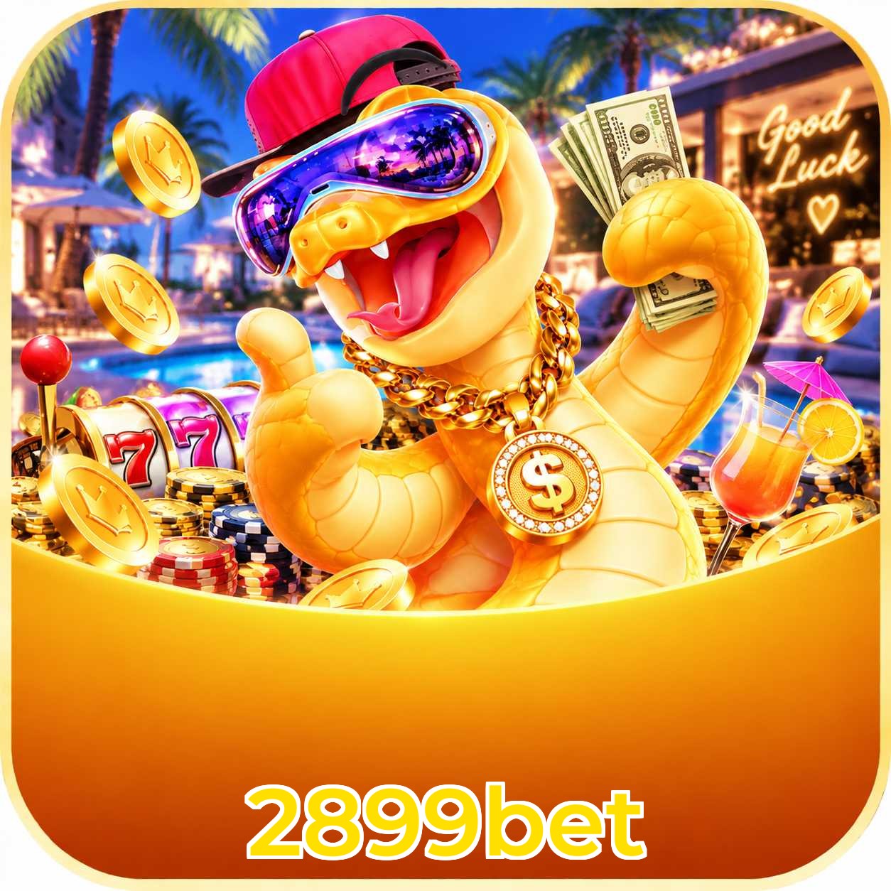 2899bet Telegram Stats